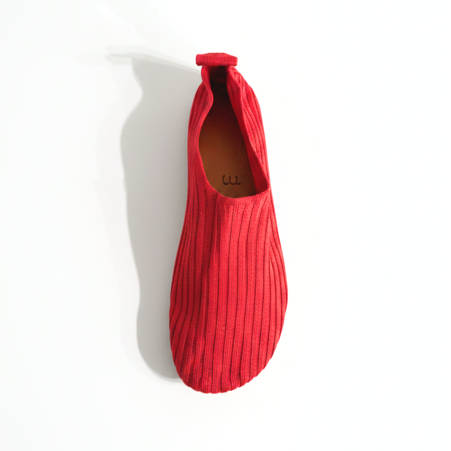 Aime Silk Ballerina Shoes